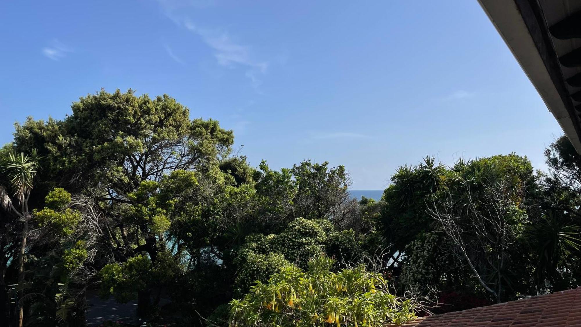 Alonaki Bay Apartment Halikounas Exterior photo